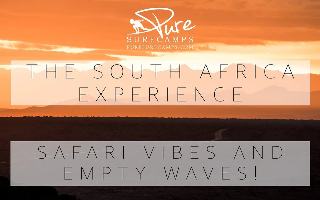Surfen Südafrika - Safari Vibes und leere Wellen