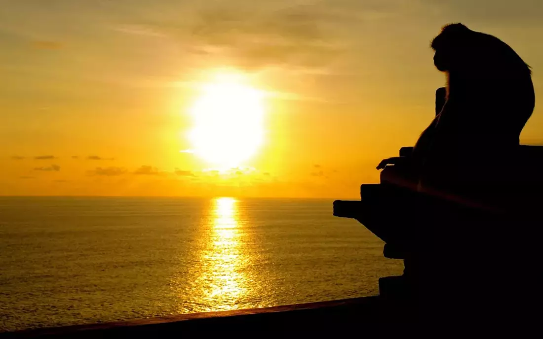 Sonnenuntergang Bali Affen