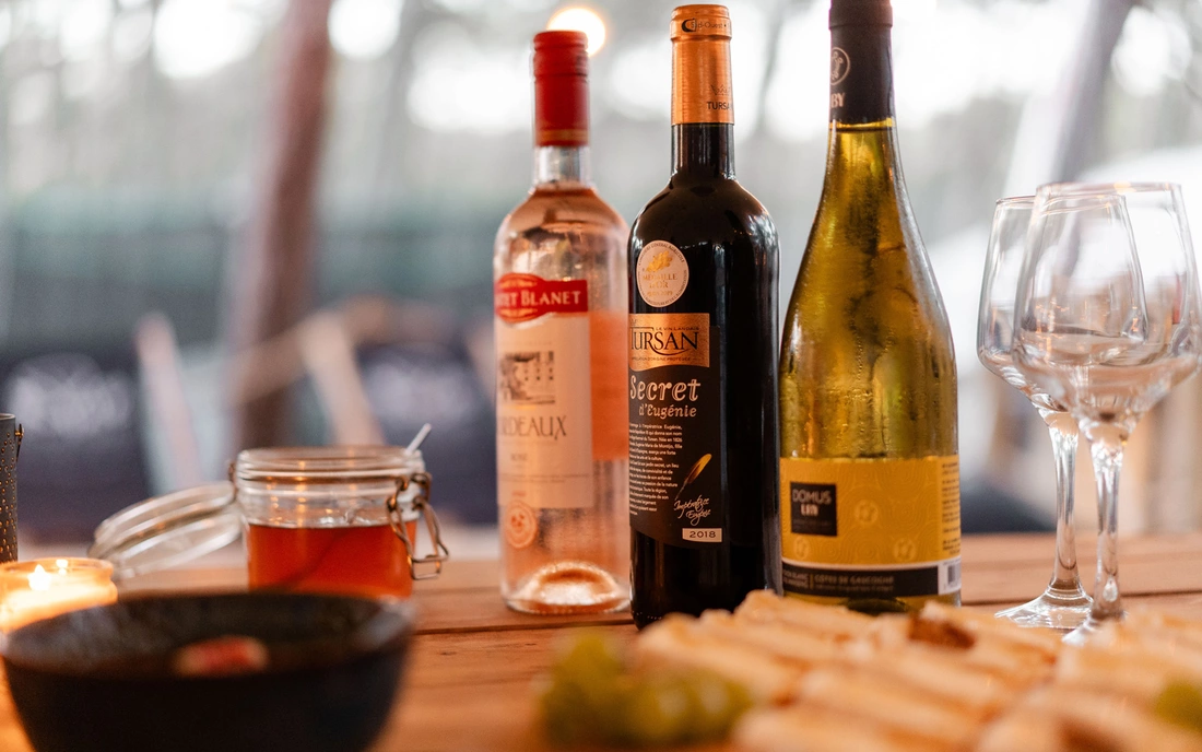 Surfcamp Vieux Boucau Frankreich Wine and Cheese