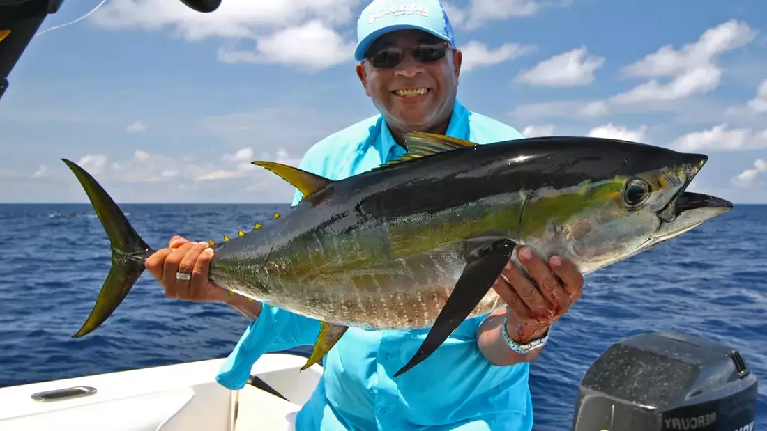 Dicke Fische fangen Dicke Fische fangen