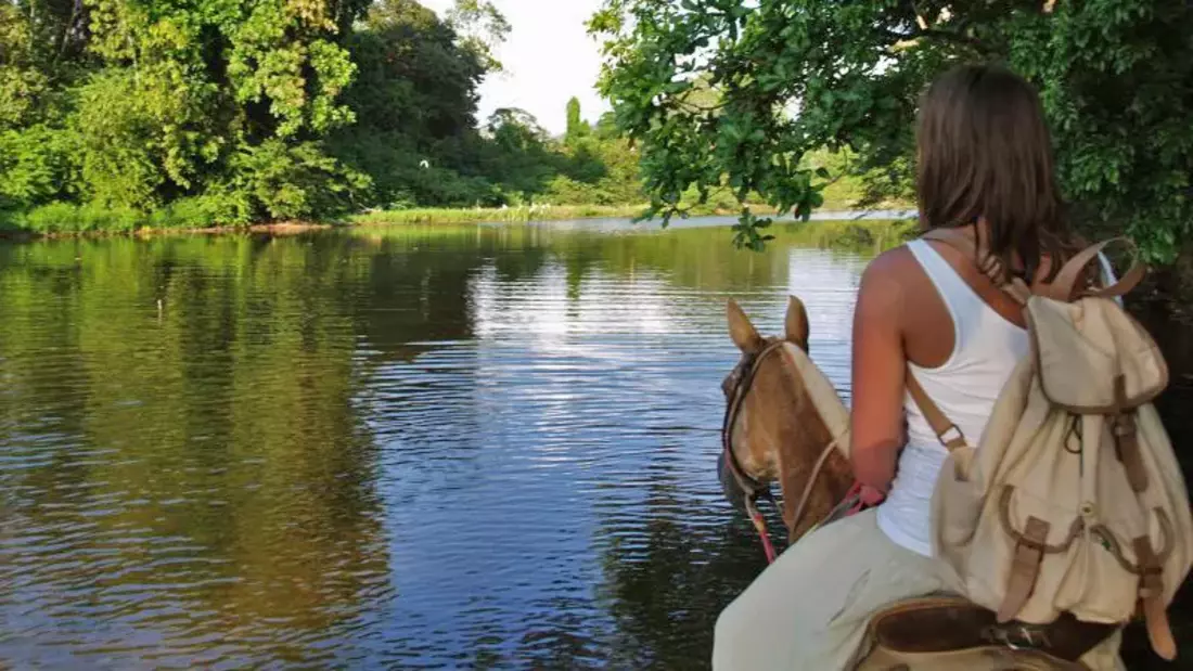 Die Natur bei einem Ausritt entdecken Die Natur bei einem Ausritt entdecken