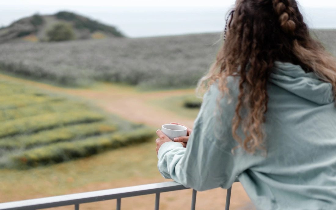 Ein Ausflug zu den Kaffee Plantagen