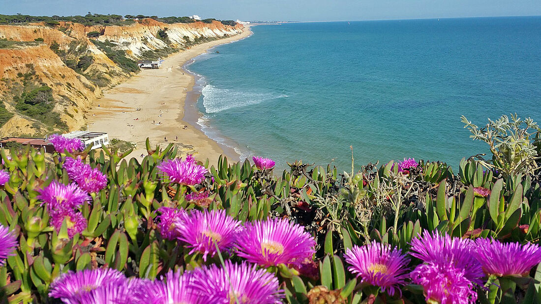 Surfen Algarve Lagos
