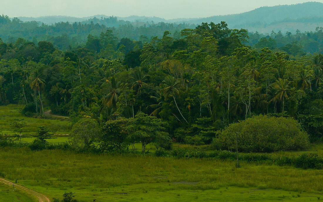 Sri Lanka sattes gr&uuml;n
