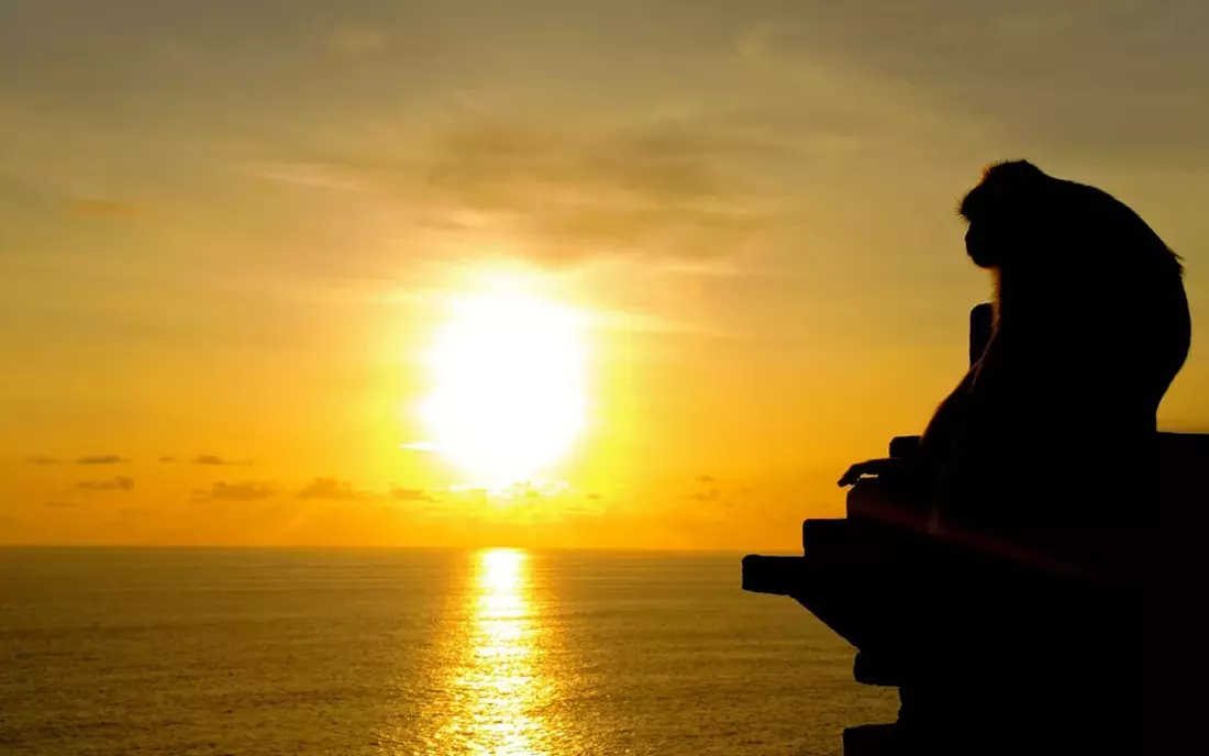 Sonnenuntergänge zum Träumen