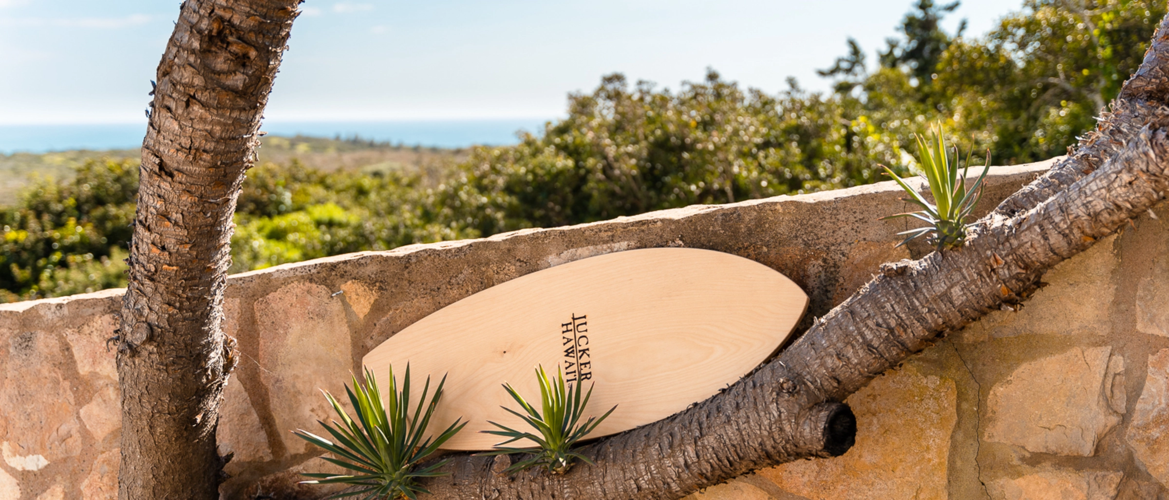 Balance Board aus Holz an Ast vor Mauer gelehnt