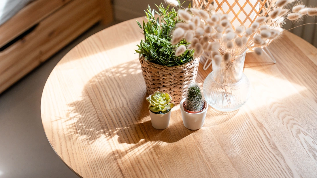 Surfcamp Vieux Boucau Bad