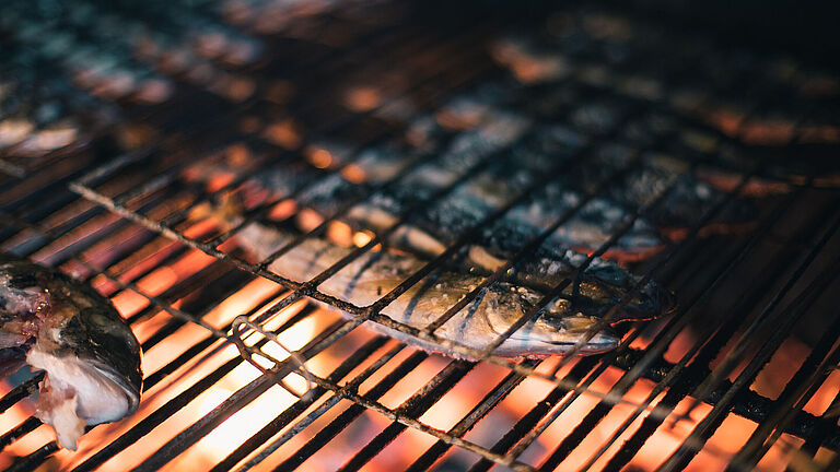 nachhaltigkeit fisch frisch markt grill lokal