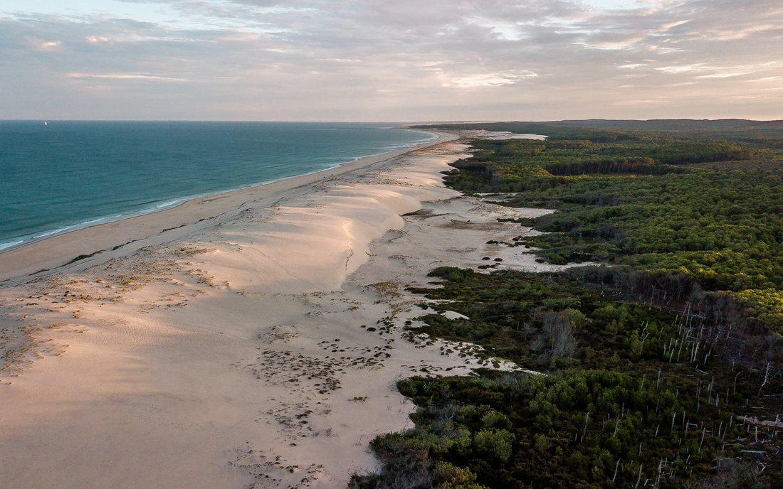 Endlos schöne Küste mit angrenzendem Pinienwald