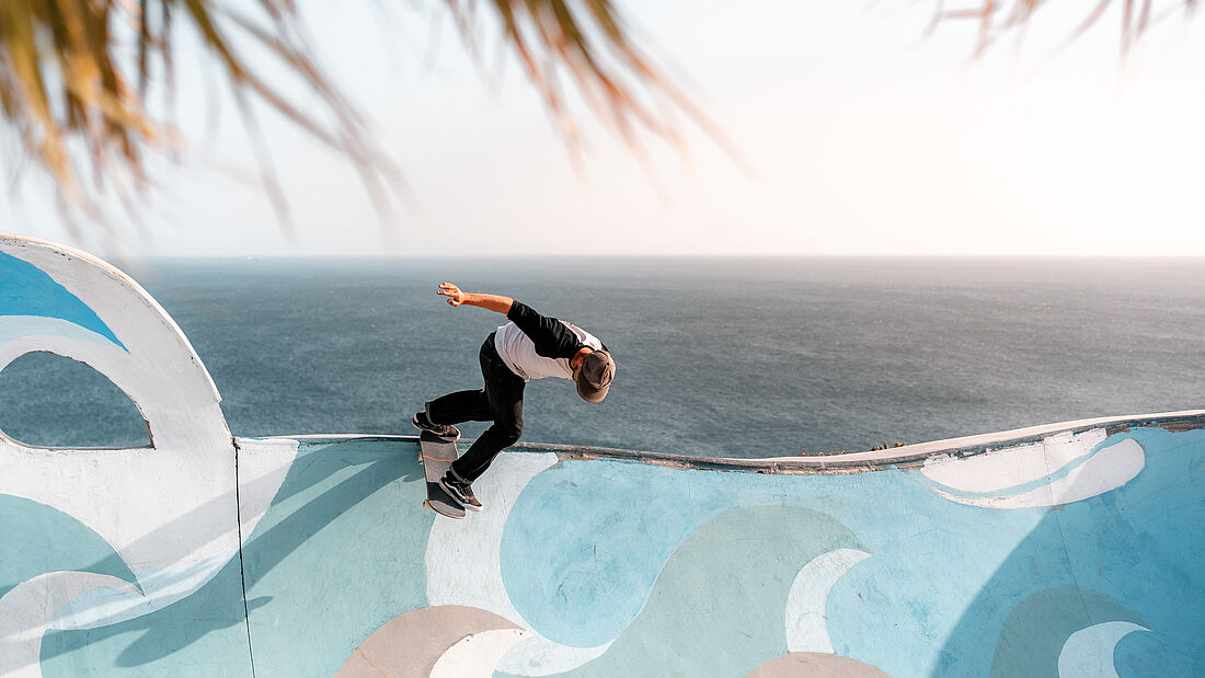 Palm trees, sea and skateboarding get along great