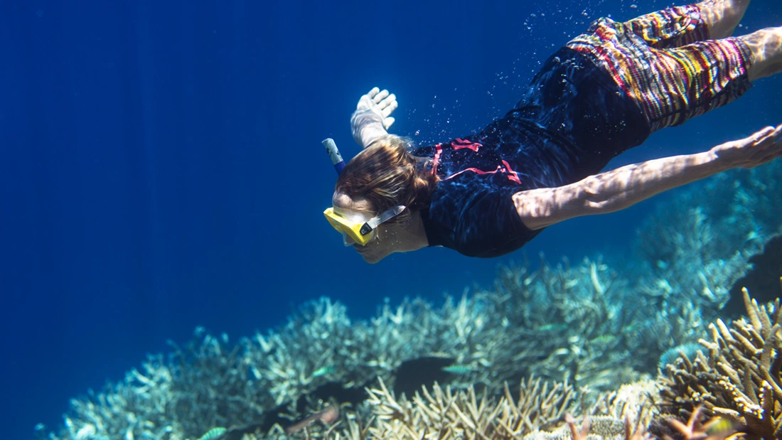 Entdecke die unbeschreibliche Unterwasserwelt der Malediven