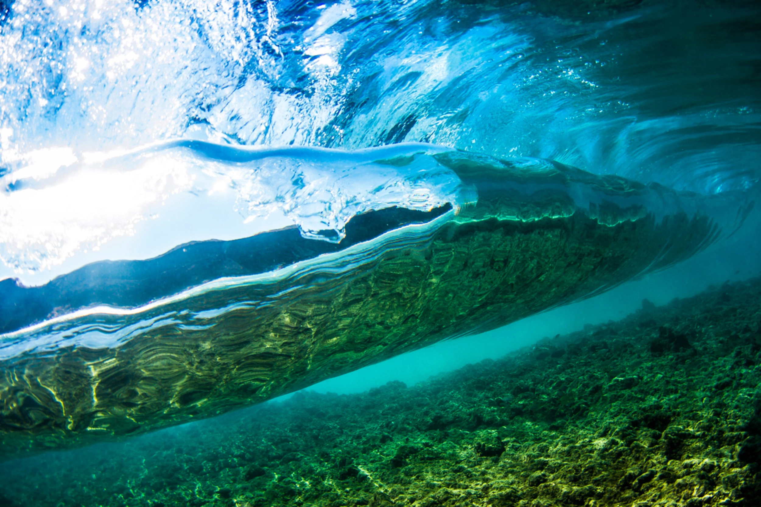 Reefbreak