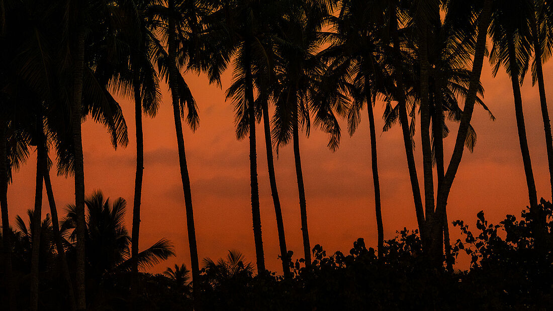Beachfront Surfcamp Sri Lanka Kathaluwa Sonnenuntergang
