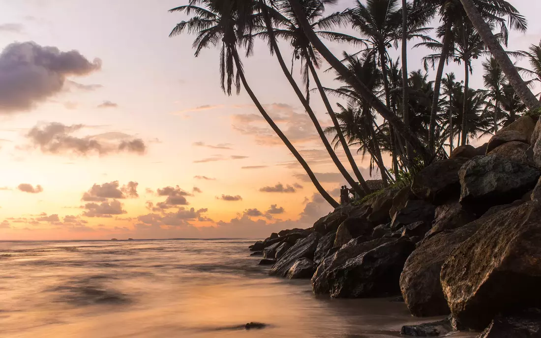 [Translate to English:] Unzählige top Surfspots auf Sri Lanka