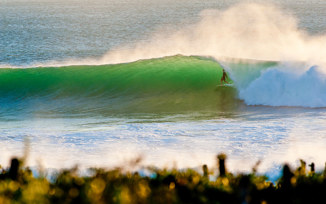 The perfect wave!