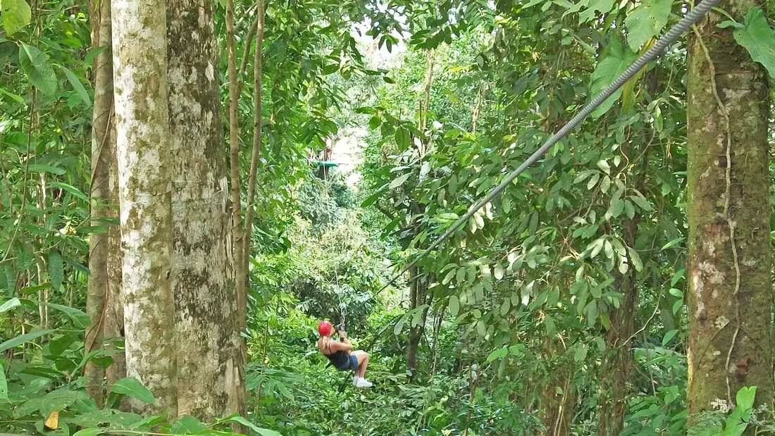 Durch den Dschungel düsen Durch den Dschungel düsen