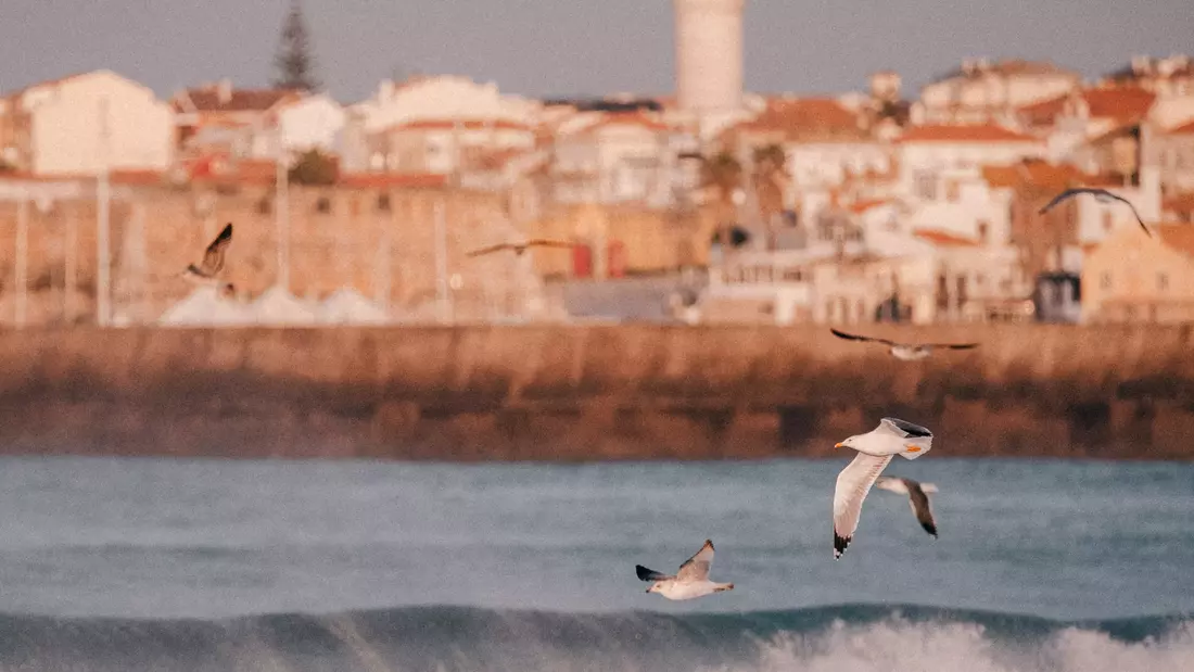 Community at the beach in our Pure Surf Camp Peniche