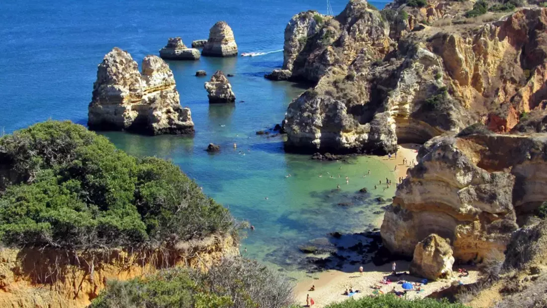 Pure Surfcamps Portugal