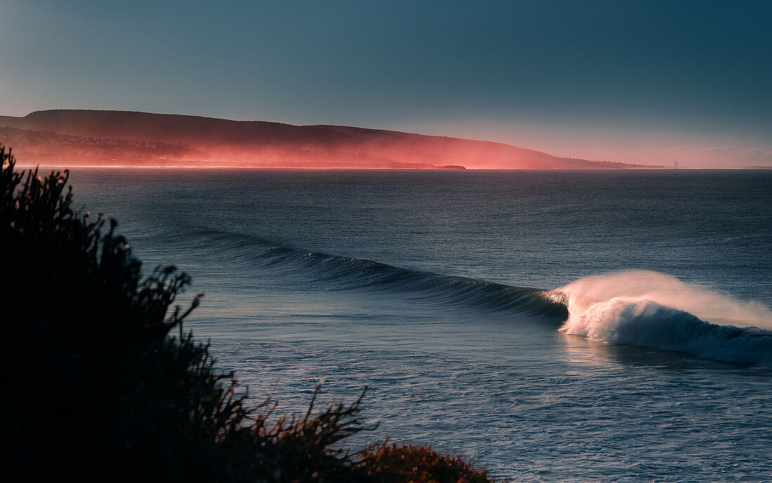 Perfect waves in paradise.