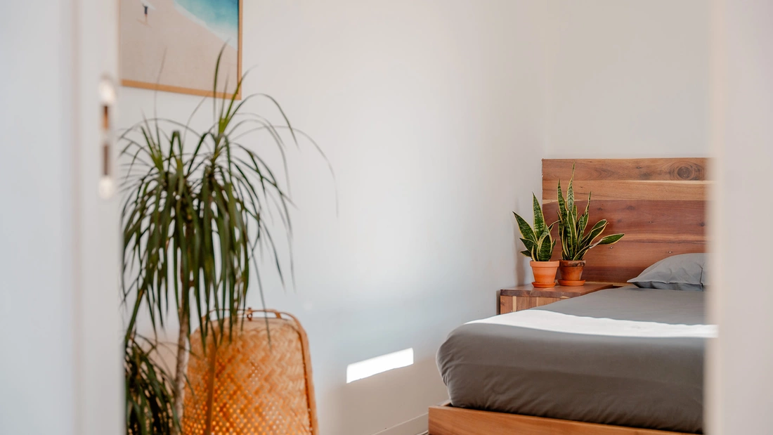 24+ Surfcamp Caparica Portugal Bett