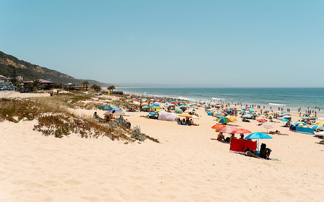 Strand und Natur