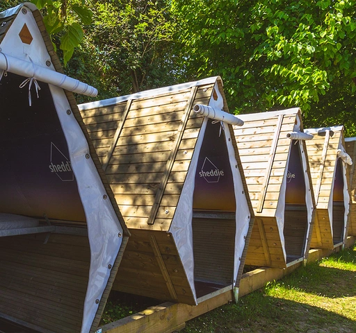 Surfcamp Zarautz Sheddies