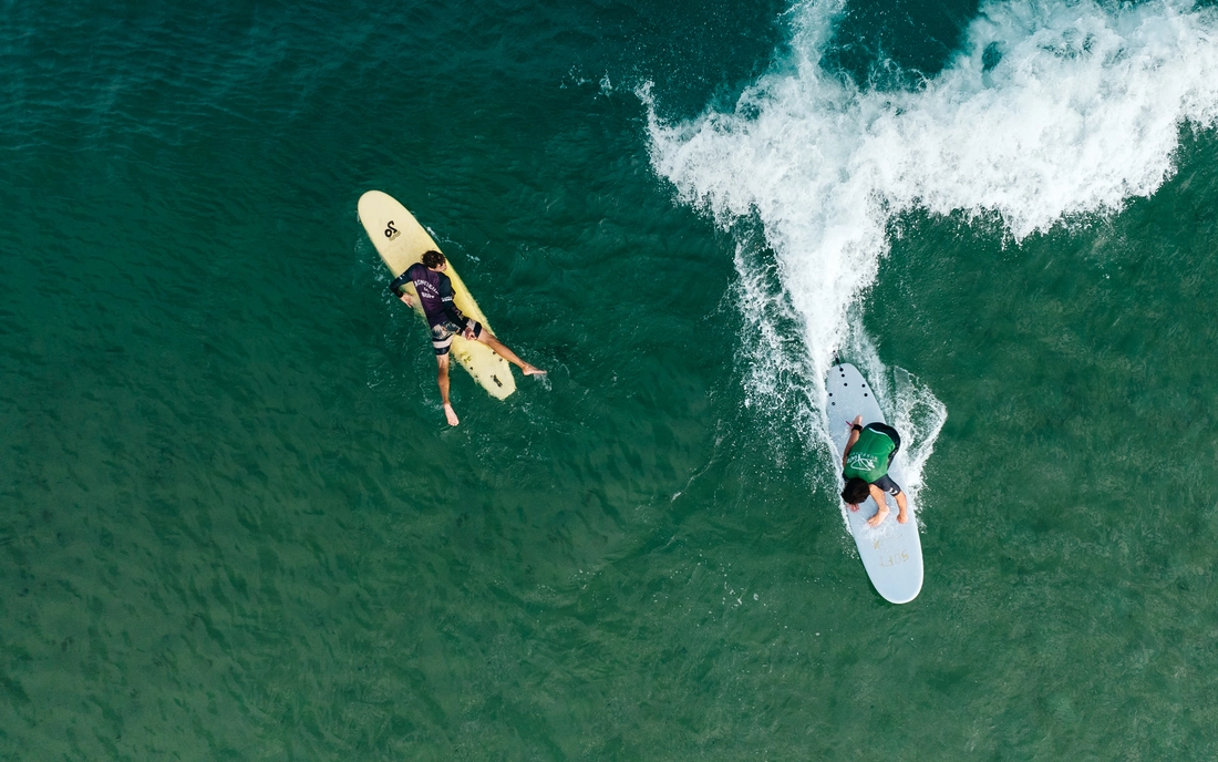 Die erste grüne Welle surfen