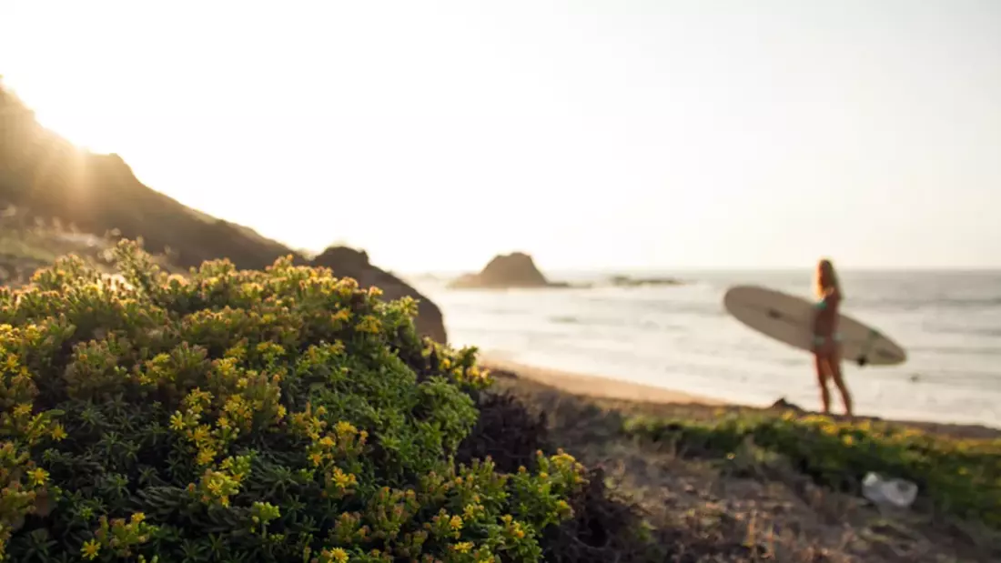 Surrounded by the Costa Vincentina National Park Costa Vincentina National Park surf beach sunset